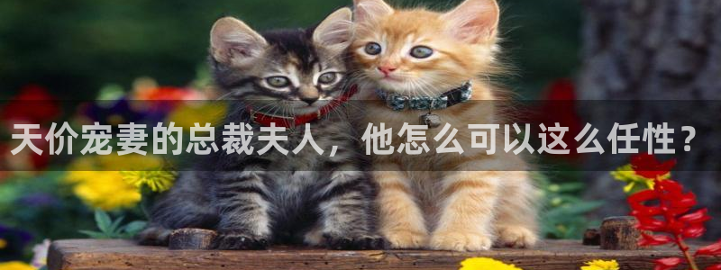 包子漫画app免费下载：天价宠妻的总裁夫人，他怎么可以这么任性？