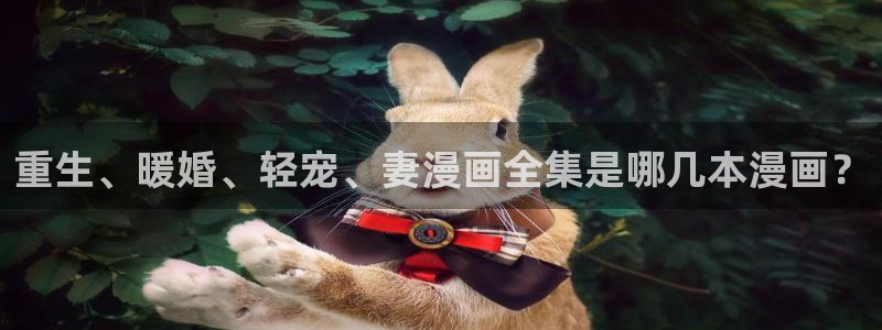 包子漫画在线阅读免费：重生、暖婚、轻宠、妻漫画全集是哪几本漫画？